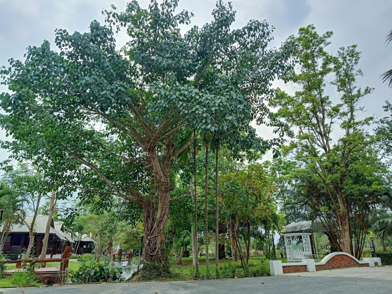 Nan Bluesky Resort And Spa Exterior photo